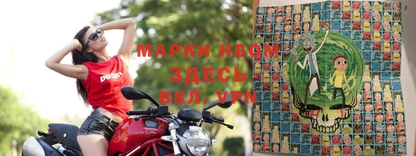СК Сосновый Бор