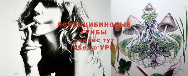 первитин Белоозёрский